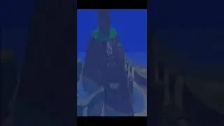 Rocket Bear
