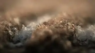 WaterHog's Innovative Design