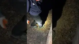 Alice's Grave Paranormal Investigation Part 5