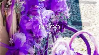 Broederliefde x Idaly Type Beat - 
