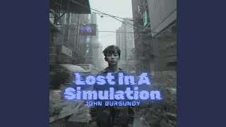 Lost In A Simulation