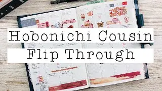 Hobonichi Cousin 2020 Flip Through