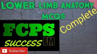 Lower limb mcqs anatomy complete
