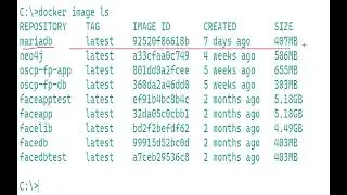 01 docker pull mariadb