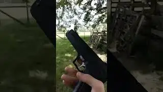 15 yds with .177 Beeman P17 #pelletguns #Beeman #f100ford
