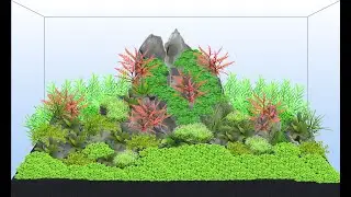 Scape It - Aquarium am Computer einrichten!