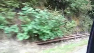 Out the Window | Roadside Surprise