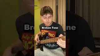 Does the tone matter part 2 #bass #flea #rhcp