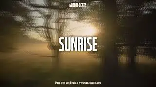 CHILL FREDDIE DREDD PHONK TYPE BEAT 2023 | SUNRISE