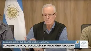 COMISIÓN COMPLETA: CIENCIA, TECNOLOGÍA E INNOVACIÓN PRODUCTIVA - 17 de julio de 2025 - HCDN