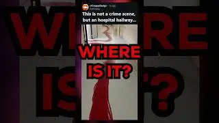 Children's Hospital Color Theory - This Week On Tumblr #tumblr #tumblrvideos #colortheory #shorts