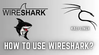 How to Use Wireshark Tool in Kali Linux? #3