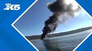 Tacoma police save 2 people, cat after boat catches fire