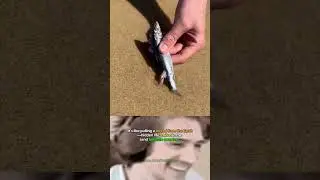 Giant Sandworm Pulled from the Beach