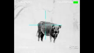 Mr. Stinky, Flir PTS736, LWRC Six 8, YHM ULT 7.62