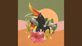 Flight to the Jungle (Landing)