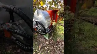 Rinieri Eliminador de hojas DRF
