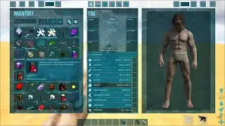 Opening of the Box Sets on the Primal Fear AG Server