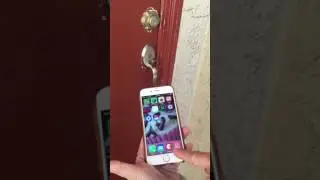 Август. Дом открывает двери.