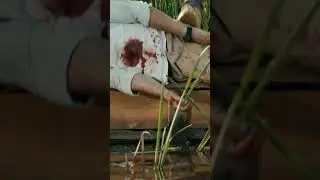 KTOŚ ZABIŁ DETEKTYWA MAĆKA DĘBOSZA ❗❓😱 | Detektywi #shorts