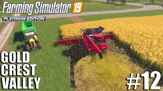 Harvesting the New Field | Gold Crest Valley | Timelapse #12 | fs19 | Farming Simulator 19