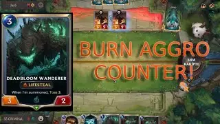 LoR Burn Aggro Counter!/Full Gameplay With Music! #LOR