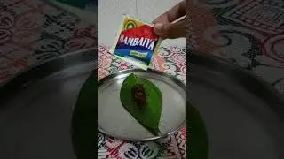 Meetha Paan😋 #foodie#food#shorts#shortsviral#viral#viralvideo#meethapaan#paanrecipe#instant#youtube
