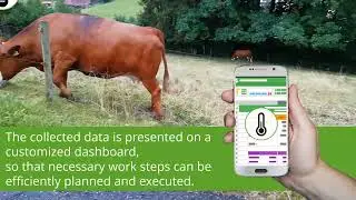 How IoT Software (M-Bus | LoRaWAN | mioty) is empowering Smart Farming