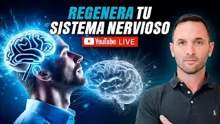 C&oacute;mo Regenerar Tu Sistema Nervioso NATURALMENTE: No m&aacute;s DOLOR