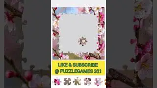 Can You Complete This Beautiful Bird Puzzle? 🧩🐦 | Relaxing Nature Jigsaw Challenge