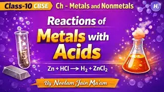 Reactions of Metals with Acids | Why Nitric Acid Does Not Produce H₂ Gas | Class 10 CBSE Chemistry