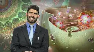 02 Classification of Cell Types &ndash; Organism,  Cell, Tissue & Organisms as Different Levels of Organiz