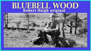 Bluebell Wood - written & Performed by Robert Haigh.