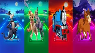 HORTON🆚Gracie_and_Pedro_Pet🆚G1RjMP🆚Funny_Horses🔥Who is best player?? 