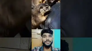 Watch to end 🥰 #boardofficial #explore #foryou #publicreaction #trendingreactions #reaction