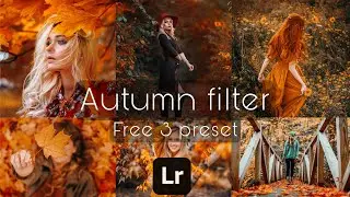 Free 3 presets Autumn filter Lightroom photo editing | #Shorts