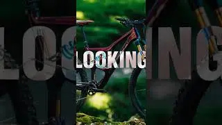 Orbea occam lt