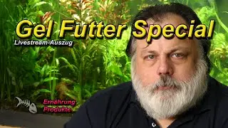 MEINE ALLEINFUTTER - Gel Futter Special
