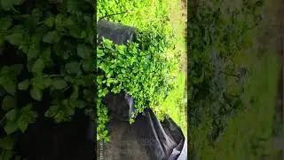 Вот такой день, 10 февраля 2021, в городе Евпатории #Евпатория #Крым #ХанБатон #shorts #ВотТакойДень