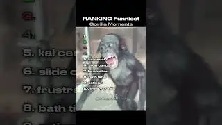 Ranking The Funniest Gorilla Moments