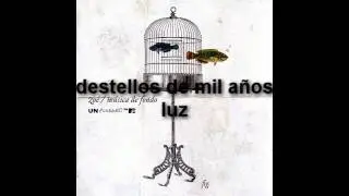 Zo&eacute; - Poli Love (MTV Unplugged) Letra