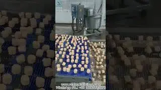 VERFOODSOLUTIONS Chicken Nuggets Forming Tempura Battering Coating Line Delivering to Italian Custom