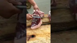 pork cutting #meat #meatcutting #bbqmeat #pigfeed #pork #pig #pigmeat #porkcutting #suyar #shorts