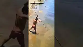 big fish spear almost dragged..‼️😲 #shorts #fishing #amazing #videoshort #fish#viralvideo