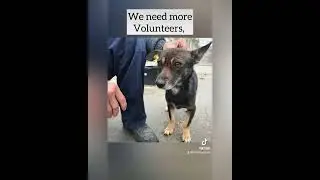 Can you help IDR survive.