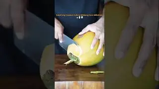 Satisfying Coconut Cutting & Making Coco Milkshake 🥥🥛🍨 #shorts