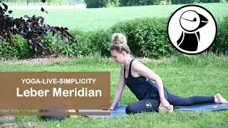 YIN YOGA Leber Meridian - outdoor Video 83