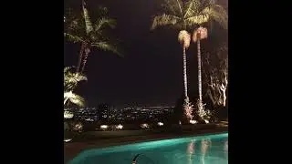 no signal (slowed) [1 HOUR]