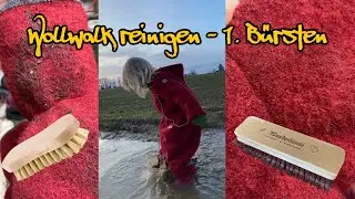 How to: Wollwalk reinigen/bürsten