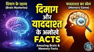 दिमाग और याददाश्त के अनोखे FACTS! | Brain & Memory Explained | FACT BY WORLD